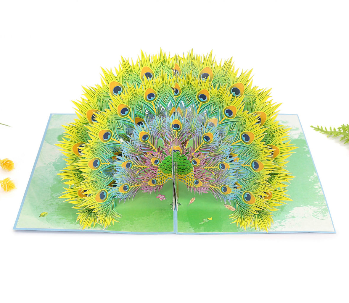 Colorful Peacock