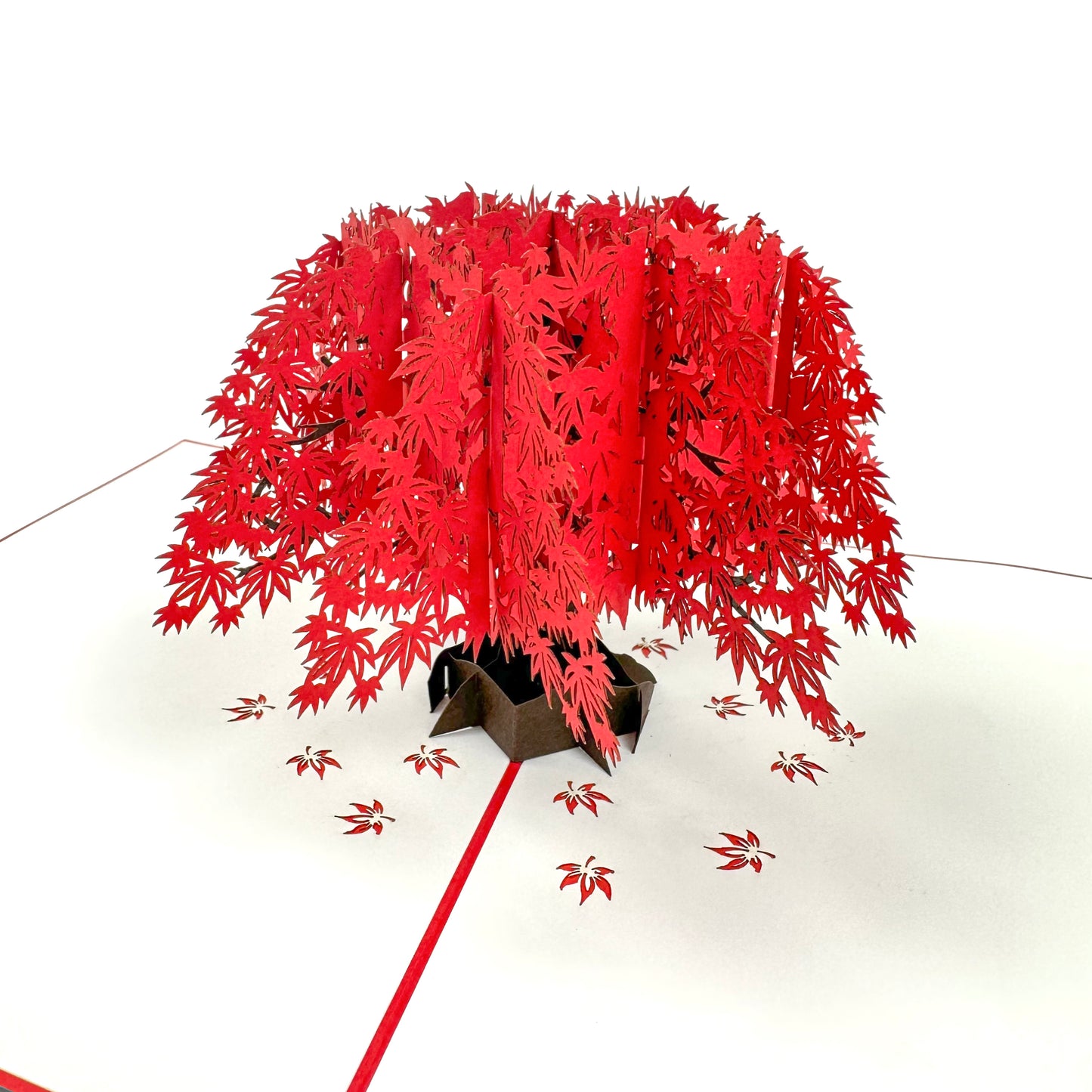 Beautiful Japanese Maple Tree