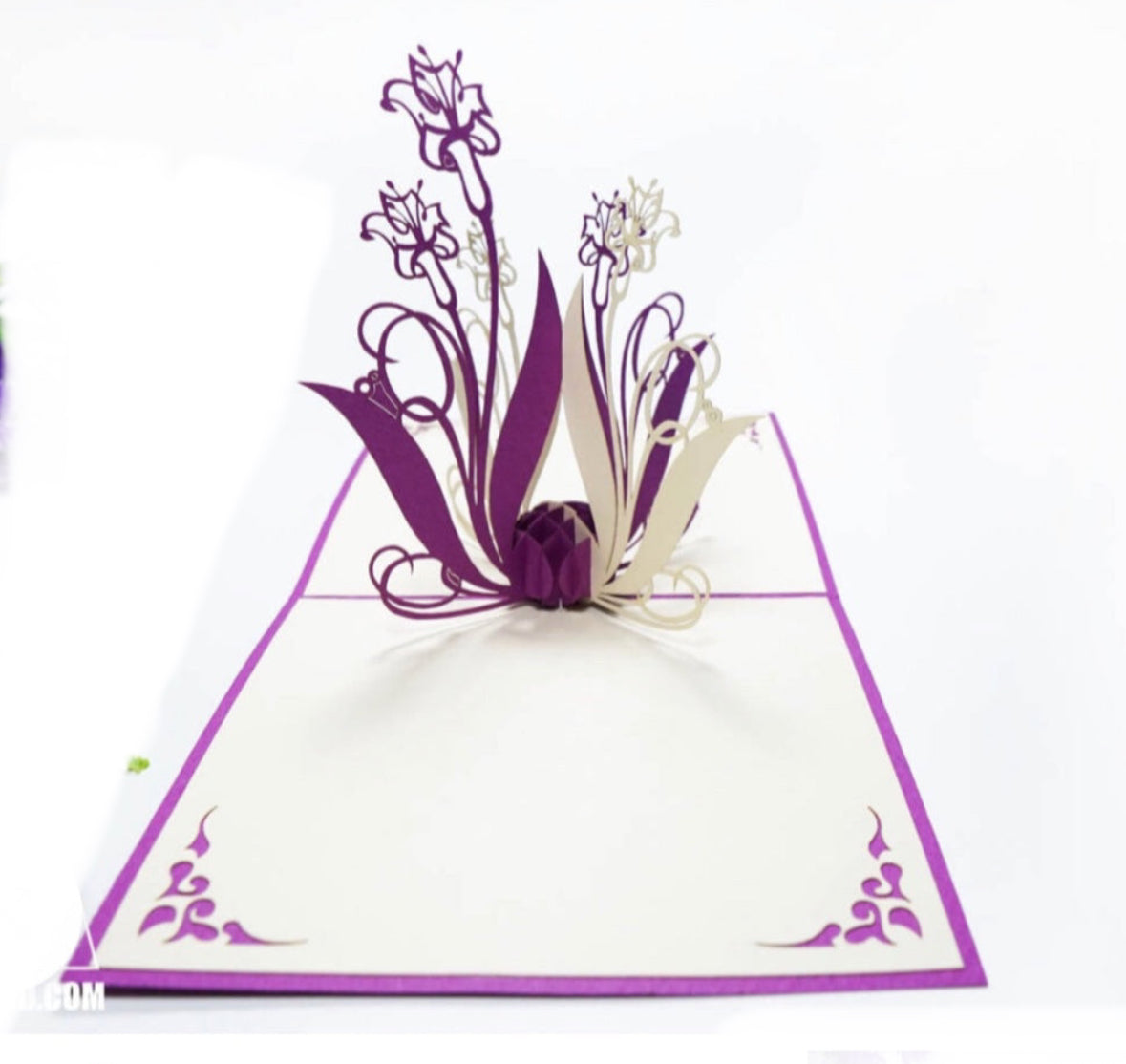 Small Purple Flowers