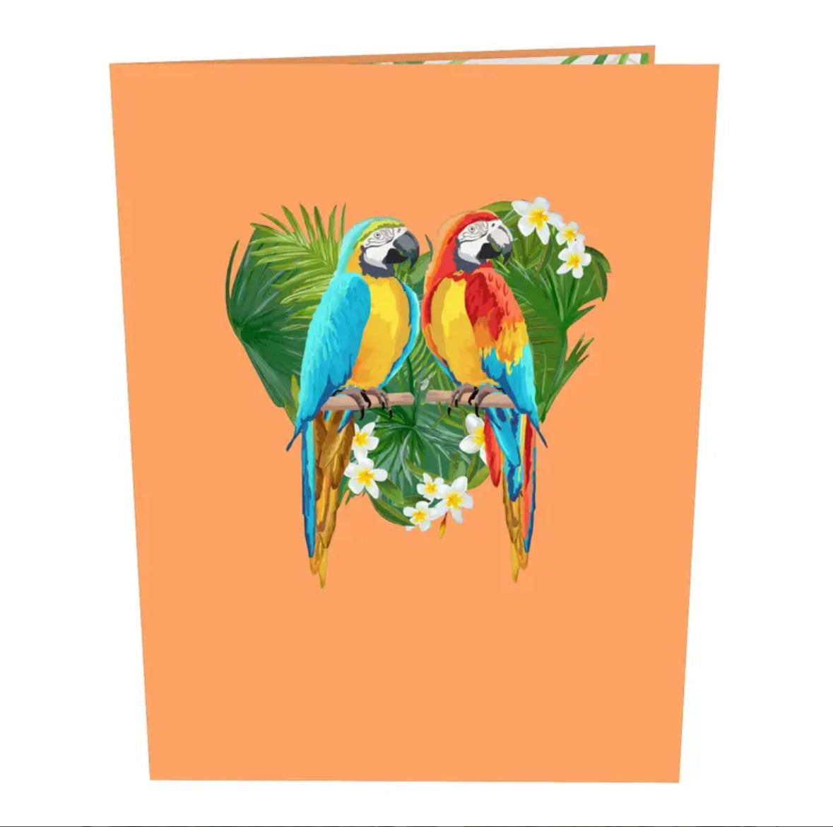 Tropical Parrots