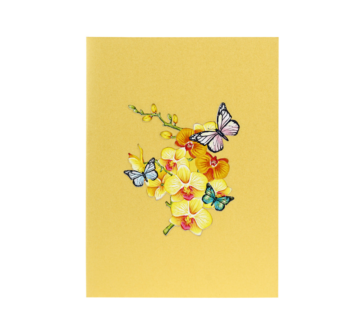 Beautiful Yellow Orchids & Butterflies Pop up Card