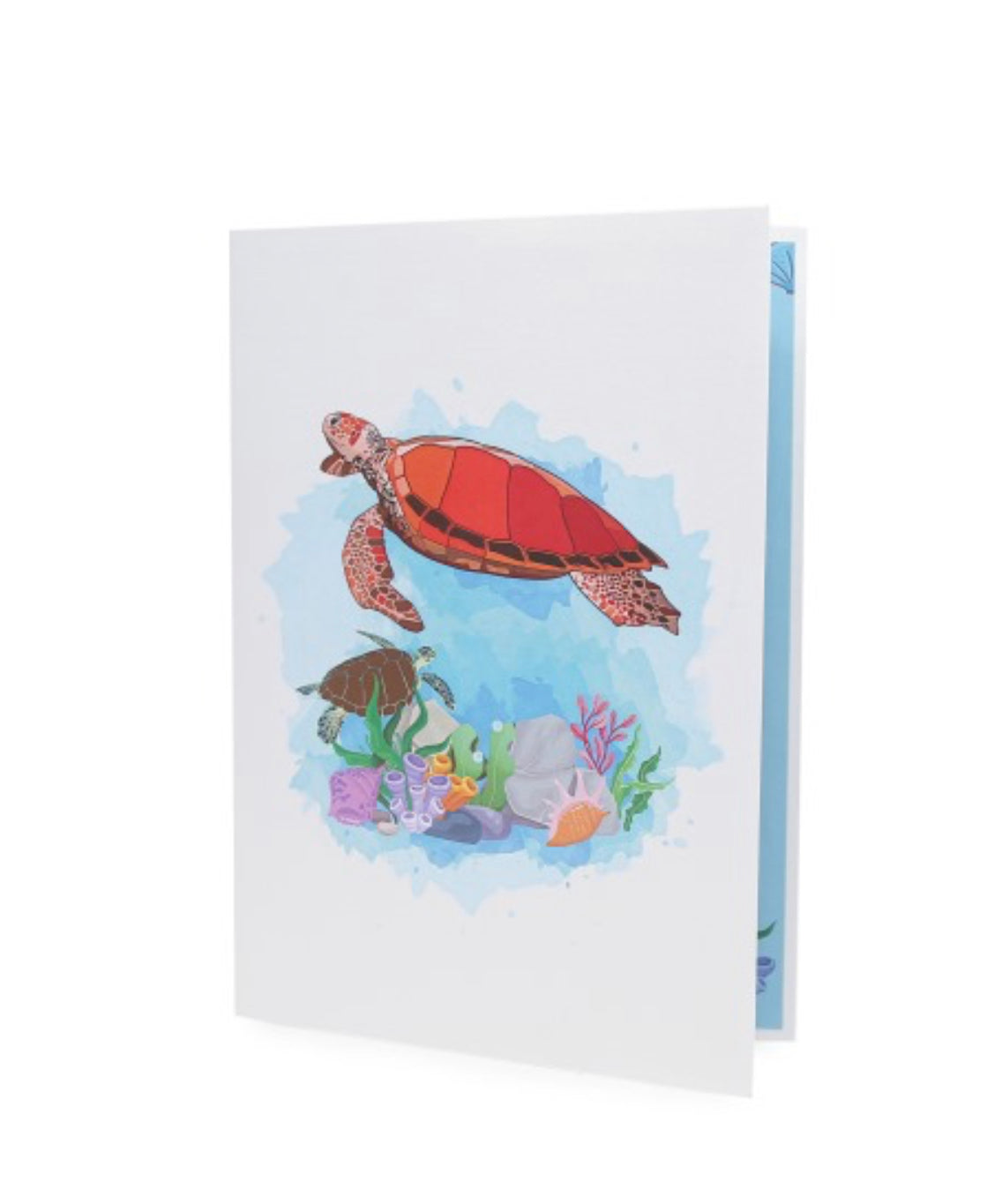 Colorful Sea Turtles 3D Pop up Card
