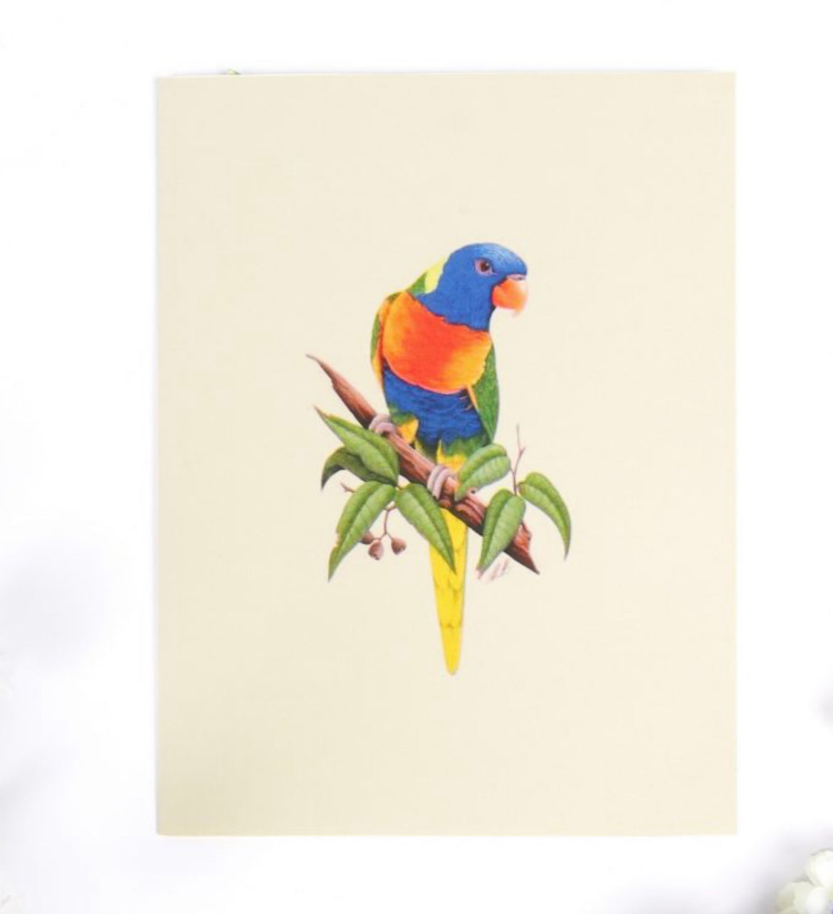 Colorful Perching Parrot #2