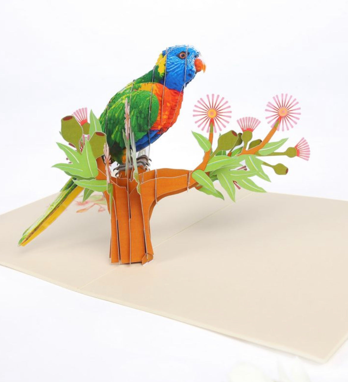 Colorful Perching Parrot #2