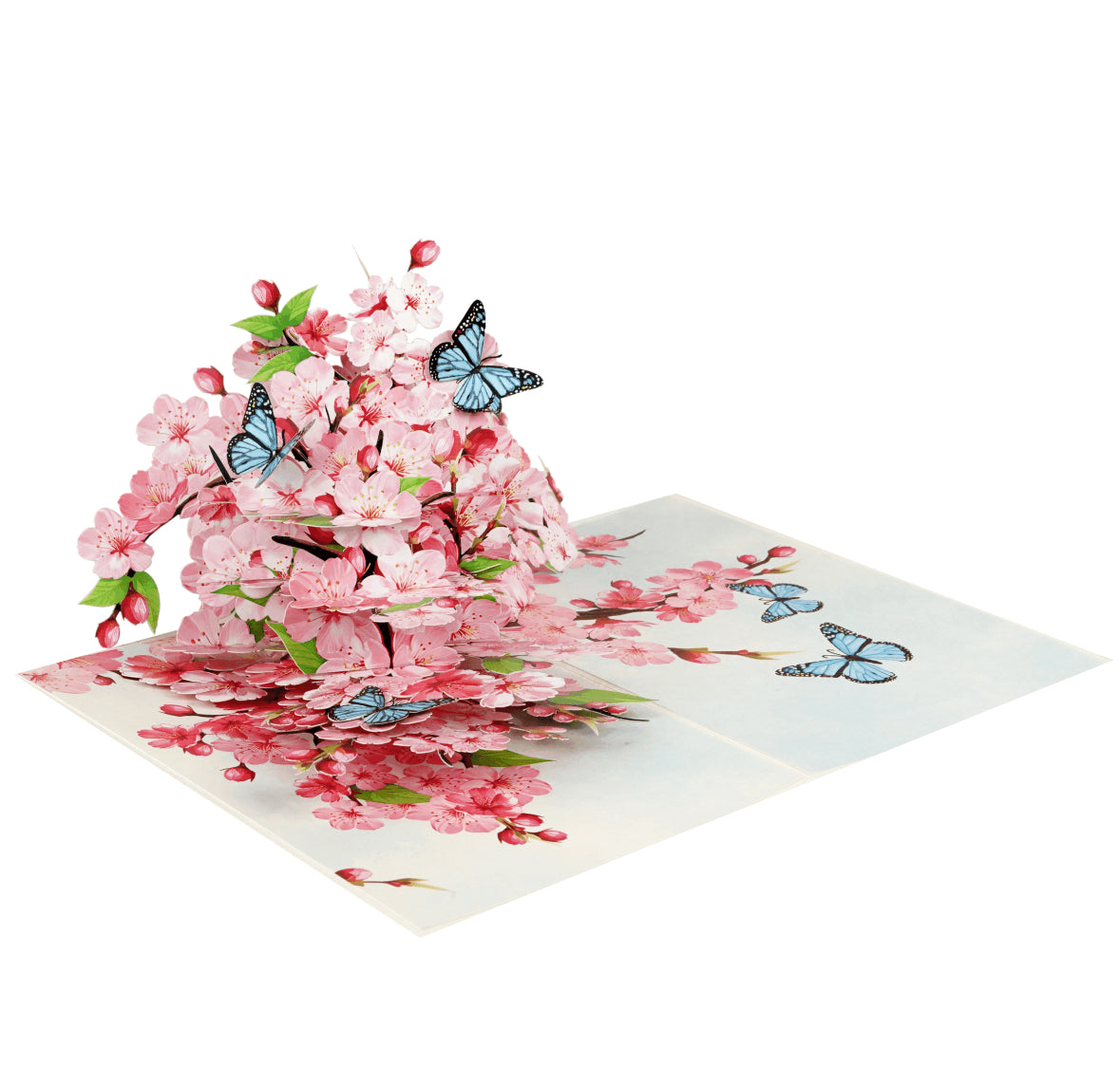 Spring Cherry Blossoms with Butterflies