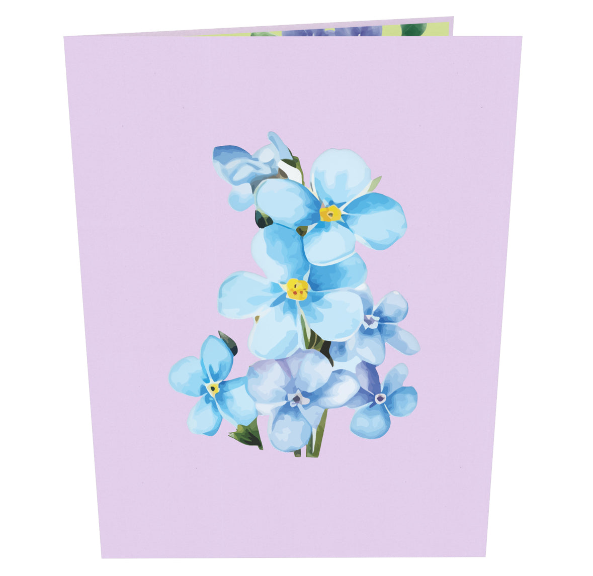 Brilliant Blue Forget Me Not Flowers