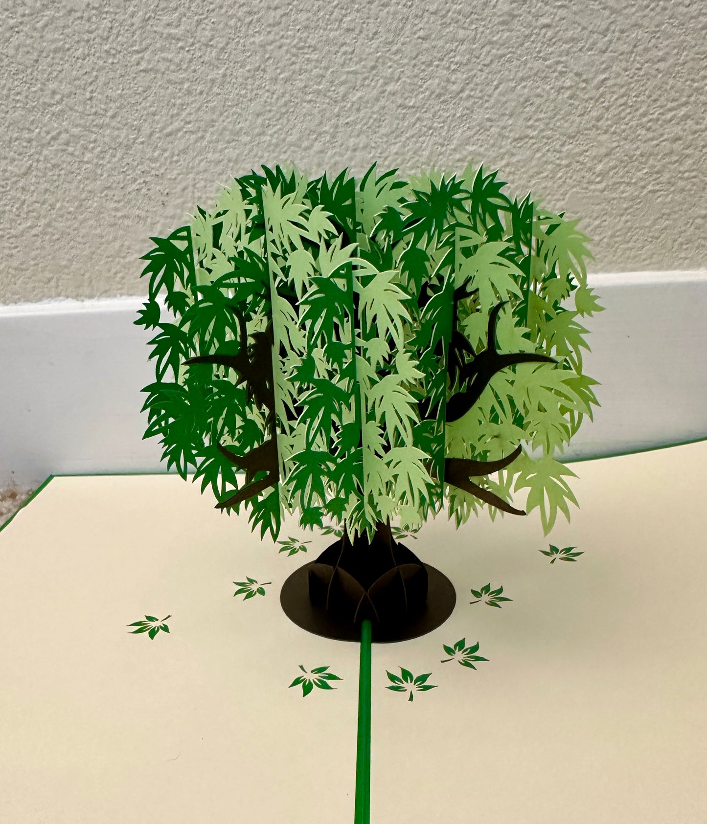 Green Maple Tree