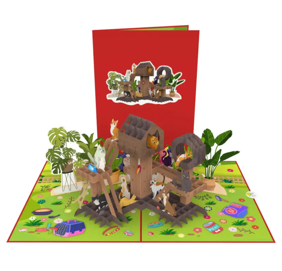 Cats Playhouse