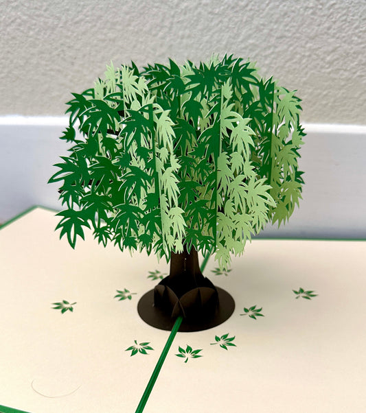 Green Maple Tree