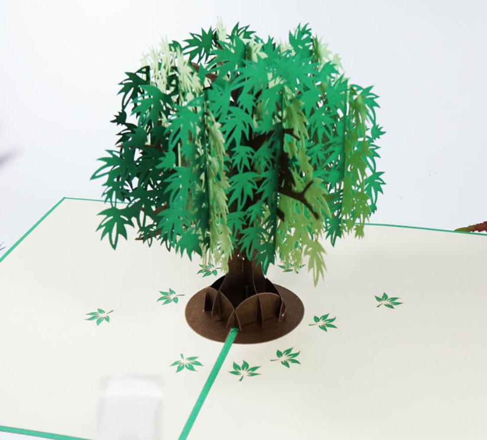 Green Maple Tree