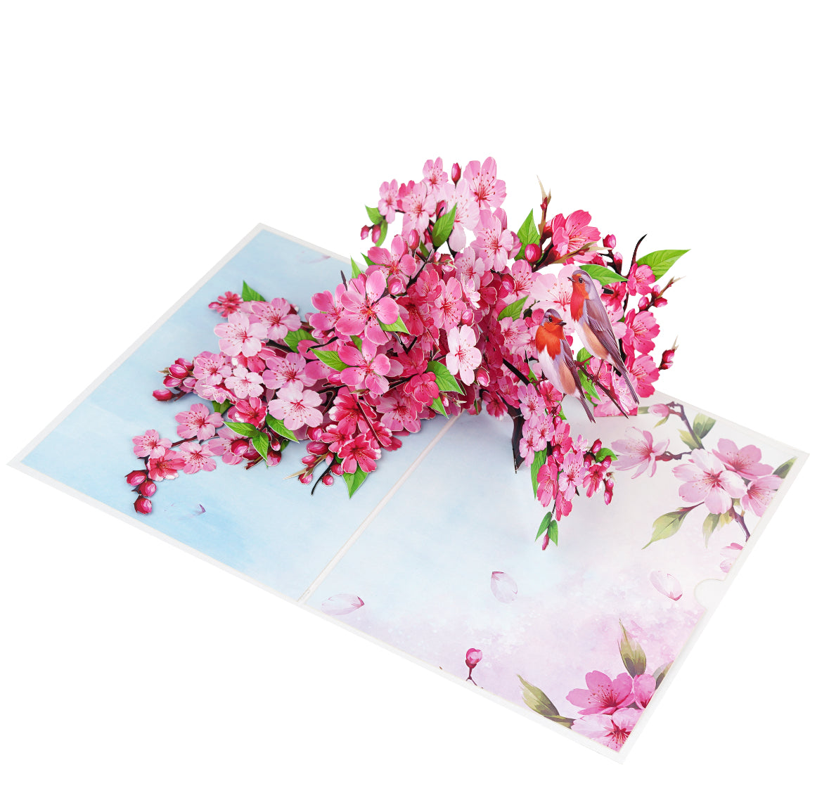 Cherry Blossoms with Robins Pop Up Card