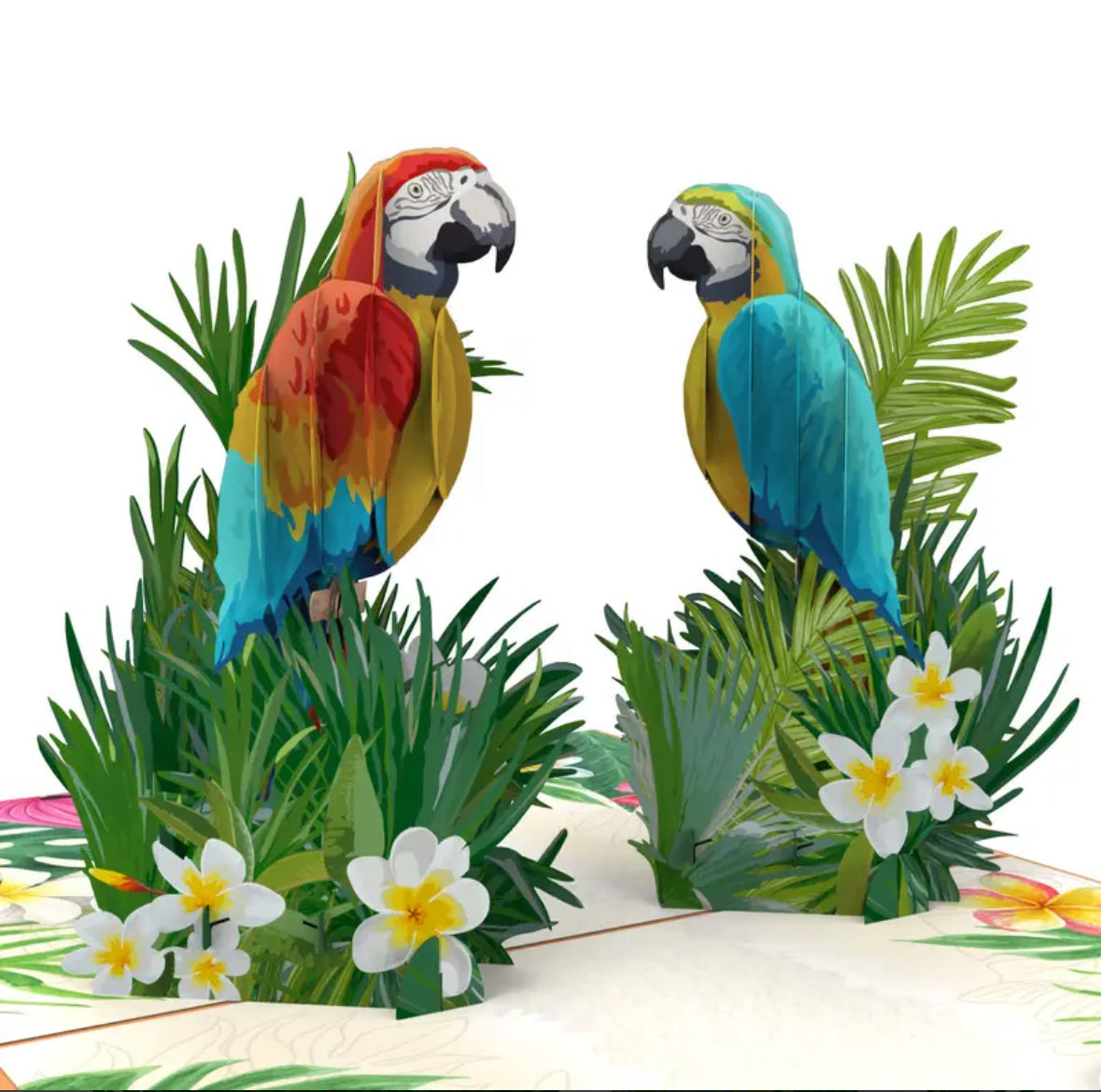 Tropical Parrots
