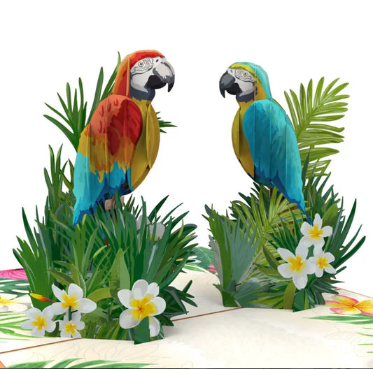 Tropical Parrots