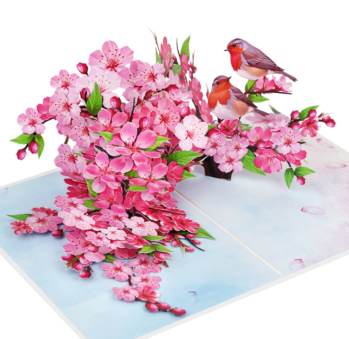 Cherry Blossoms with Robin Pop up Card