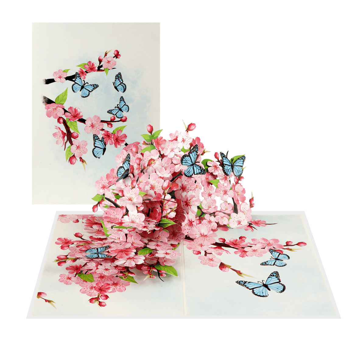 Cherry Blossoms with Butterflies 3D Pop-up Card