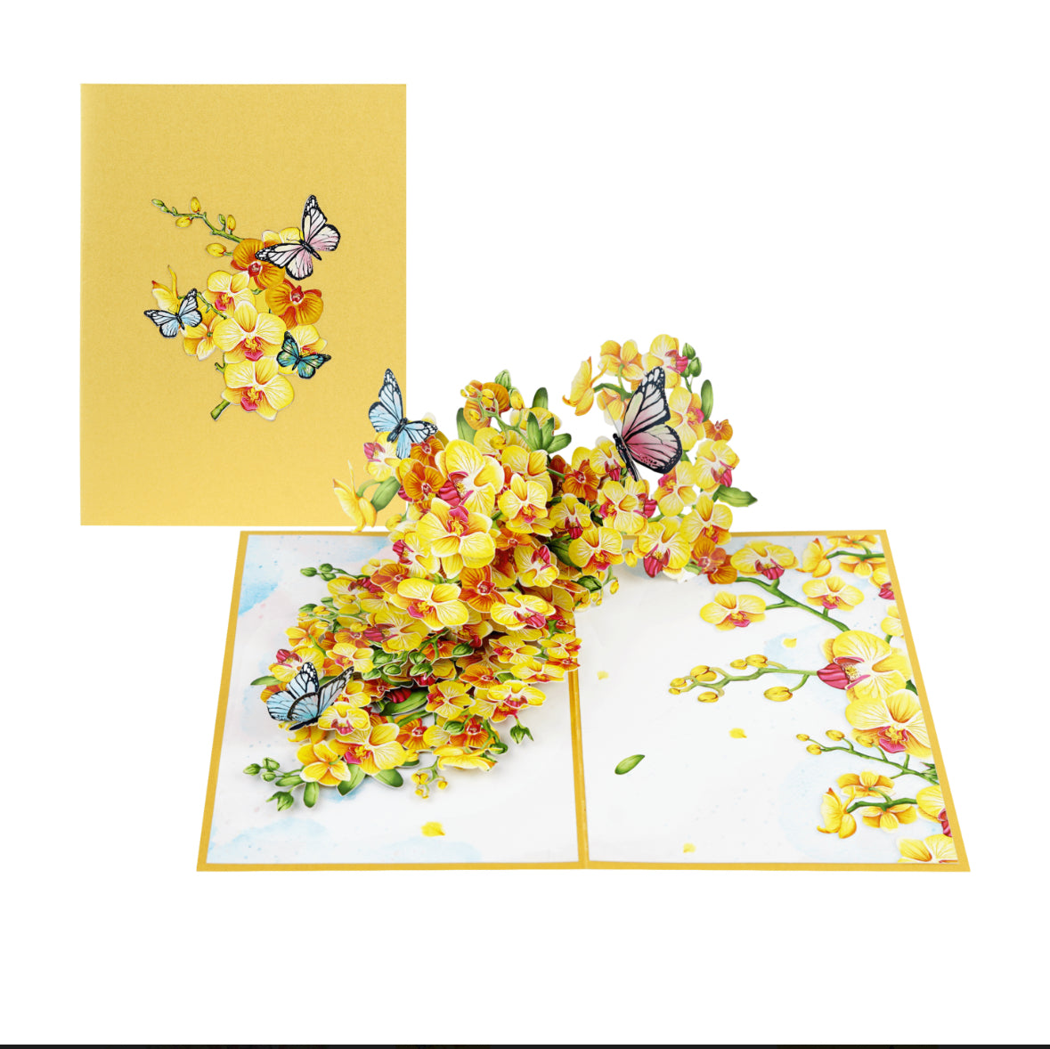 Beautiful Yellow Orchids & Butterflies Pop up Card