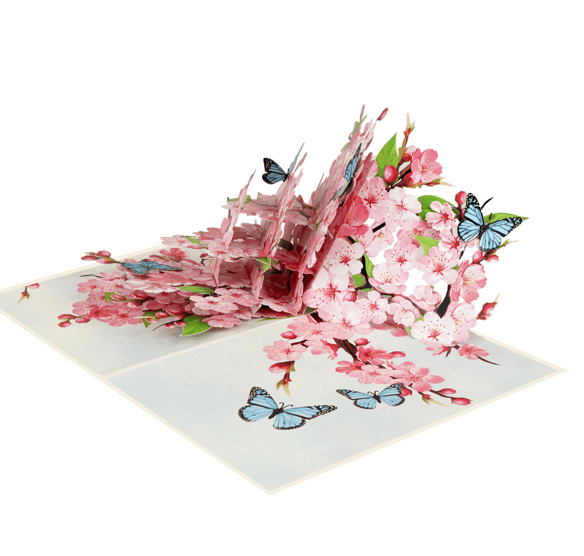 Spring Cherry Blossoms with Butterflies