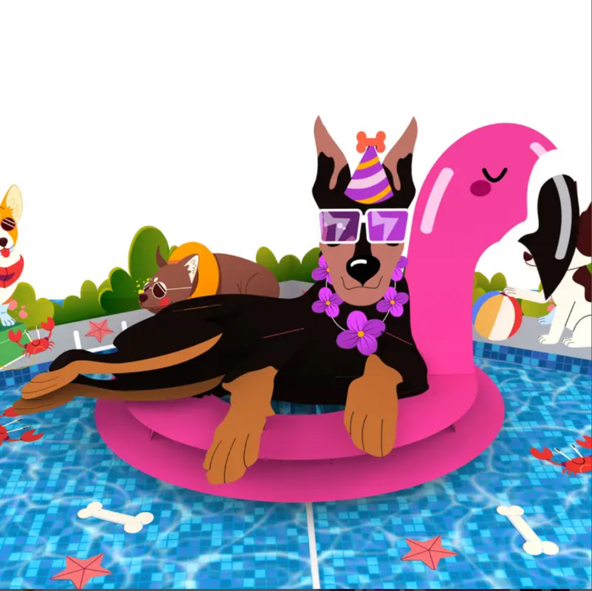 Happy Birthday Party Dogs