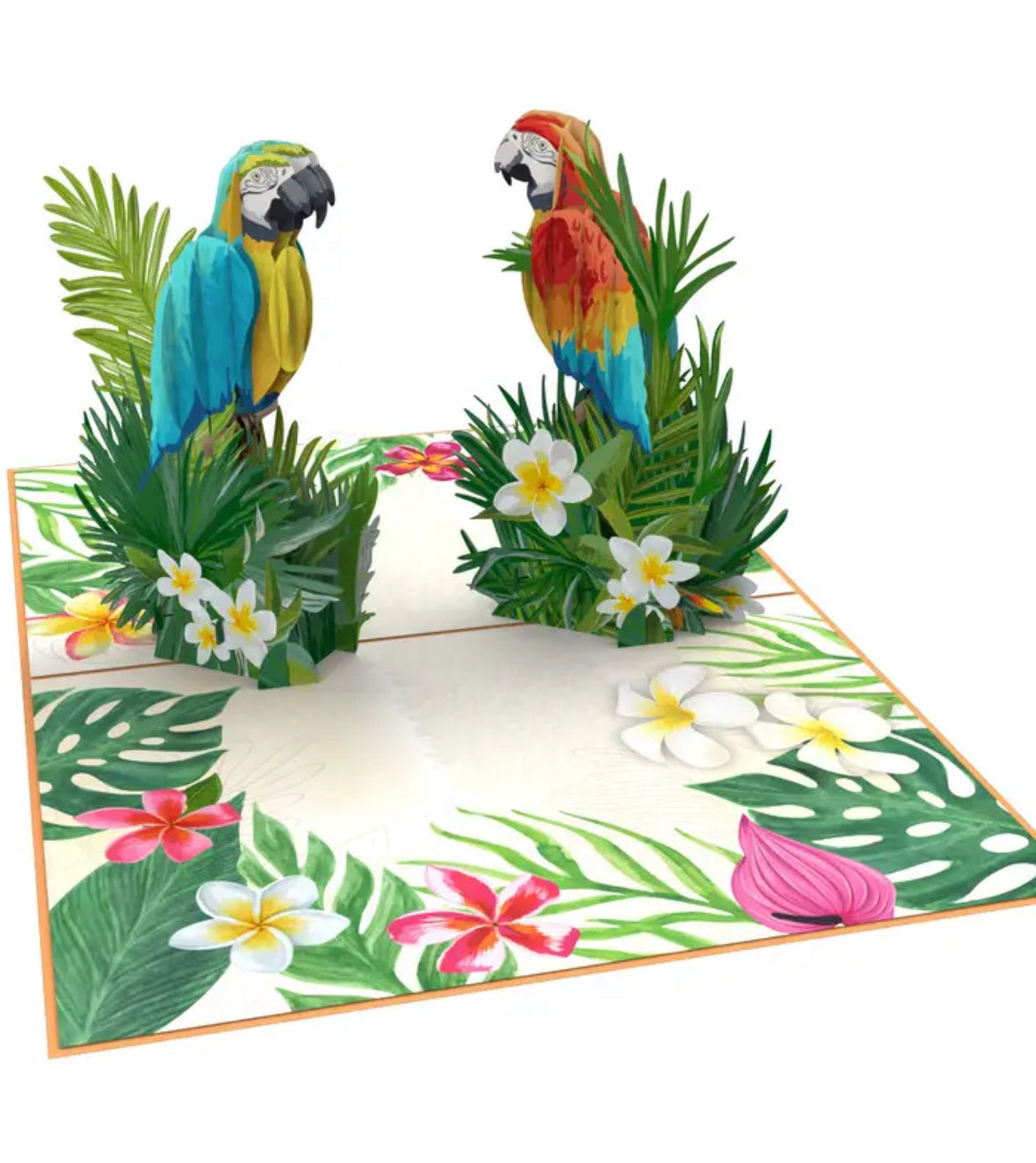 Tropical Parrots