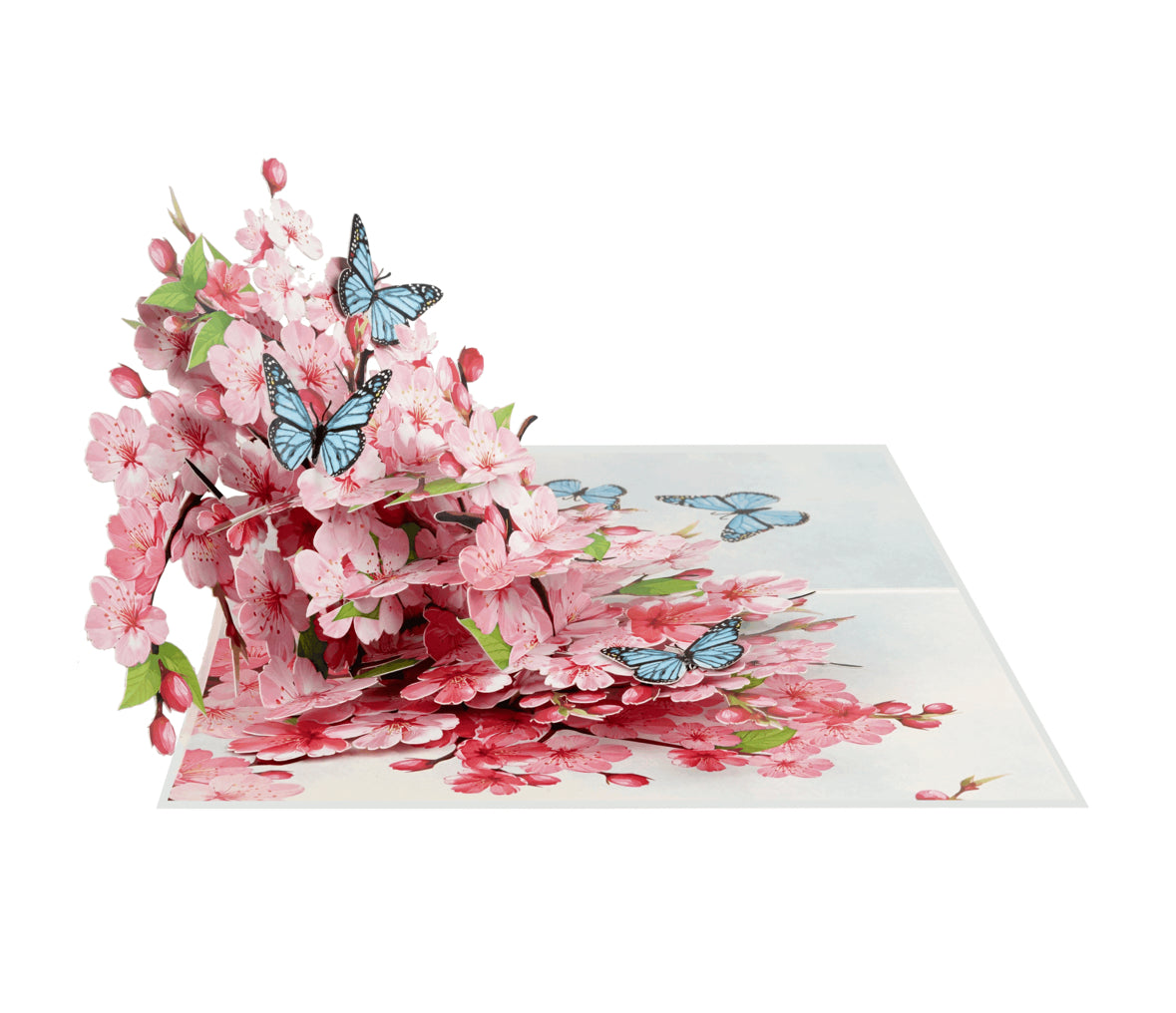 Cherry Blossoms with Butterflies 3D Pop-up Card