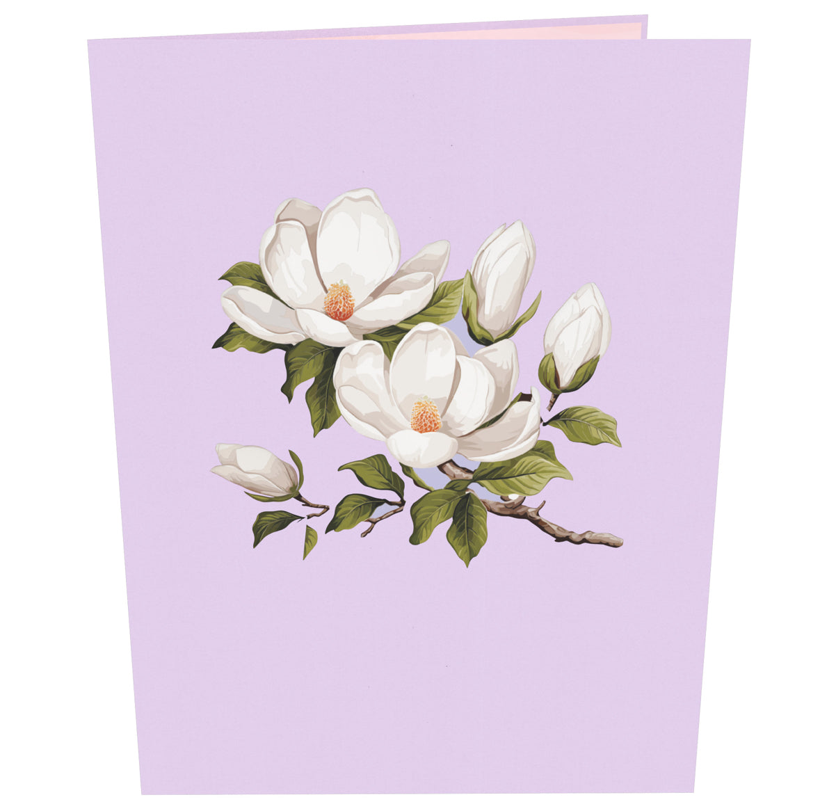 Magnificent Magnolias 3D Pop up Card