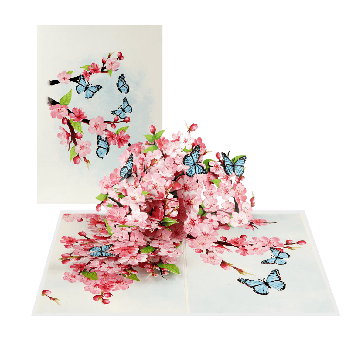 Spring Cherry Blossoms with Butterflies