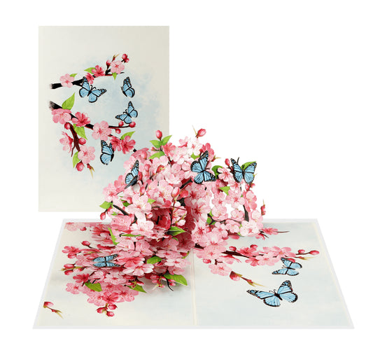 Spring Cherry Blossoms with Butterflies