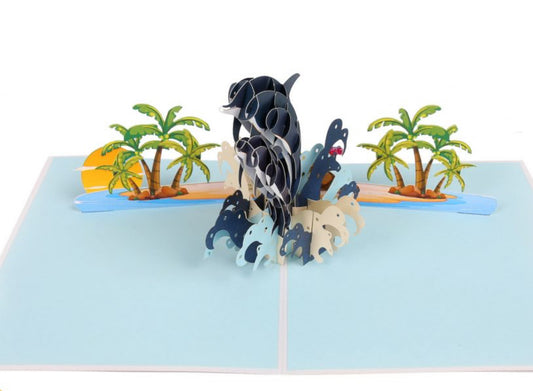 Playful Islands Dolphins