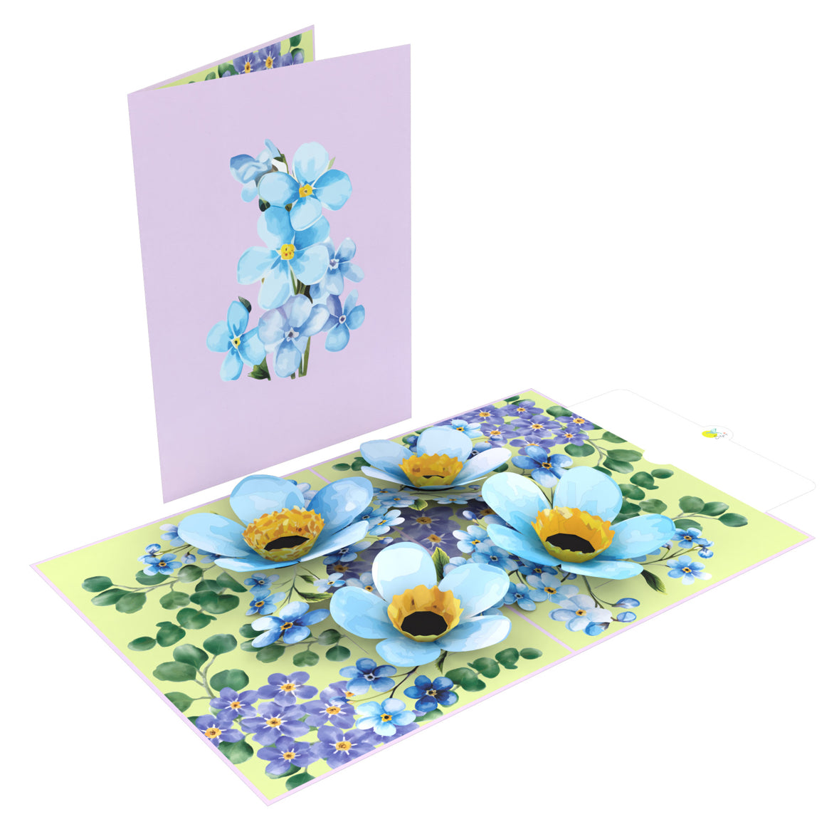 Brilliant Blue Forget Me Not Flowers