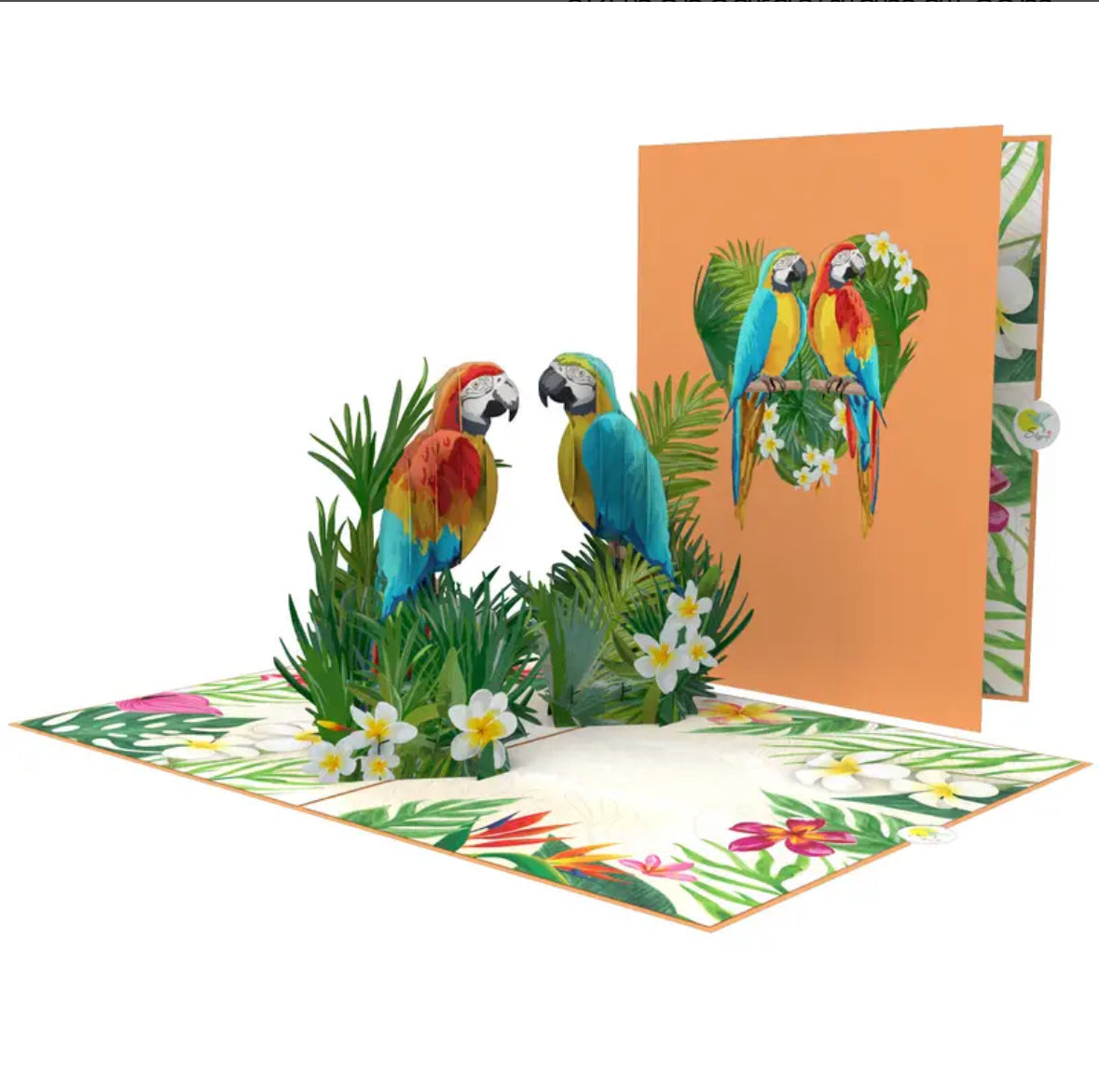 Tropical Parrots