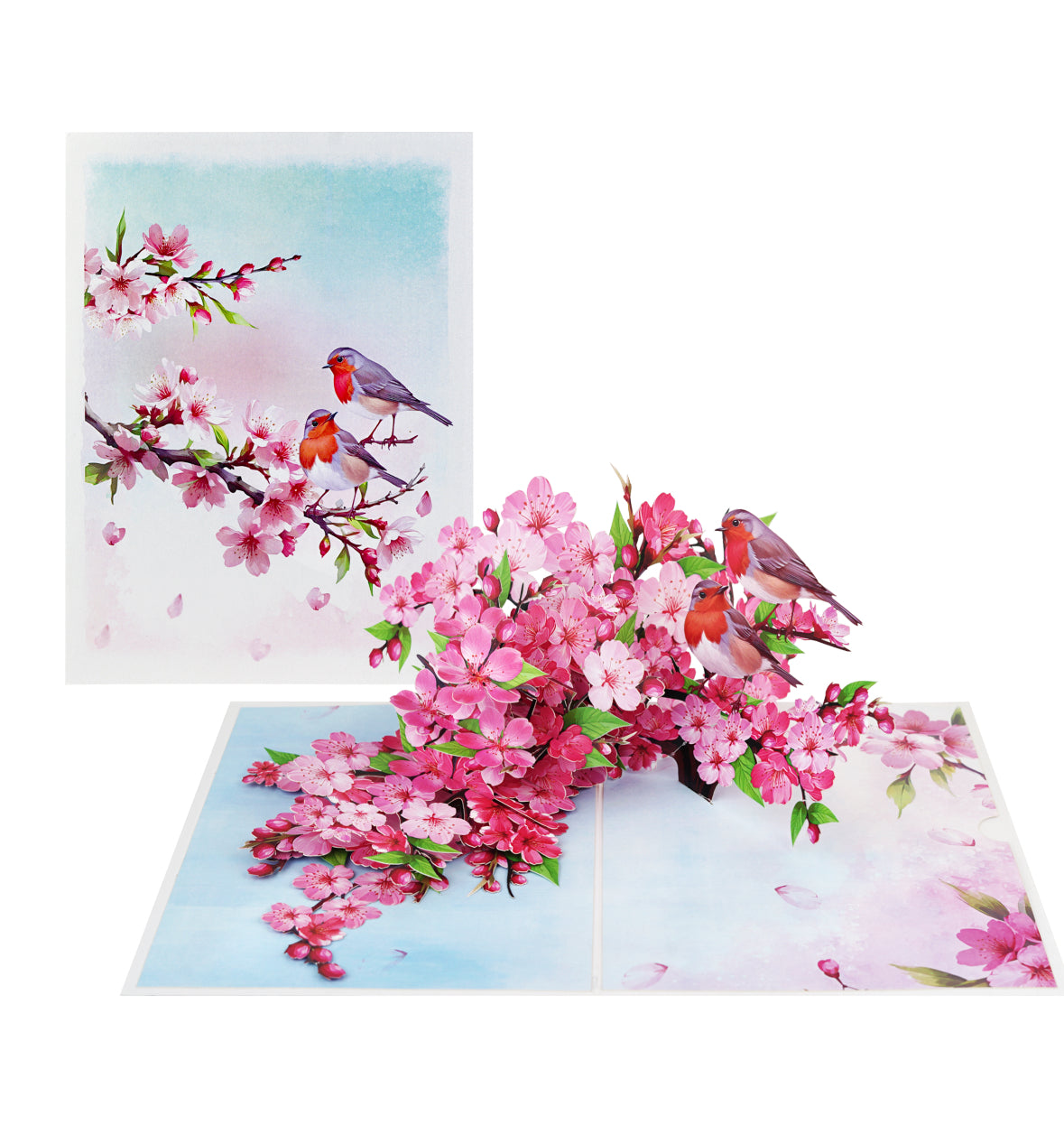 Cherry Blossoms with Robins Pop Up Card