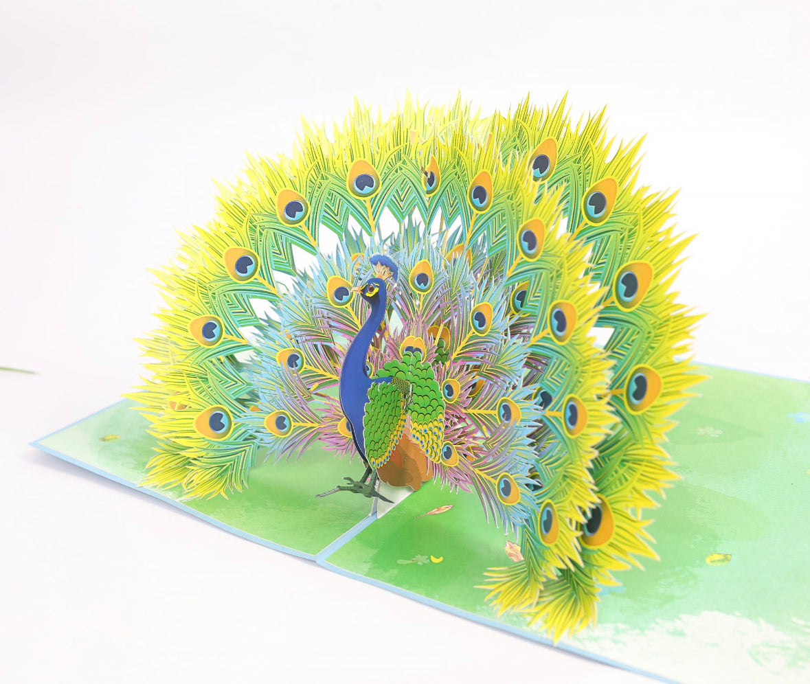 Colorful Peacock