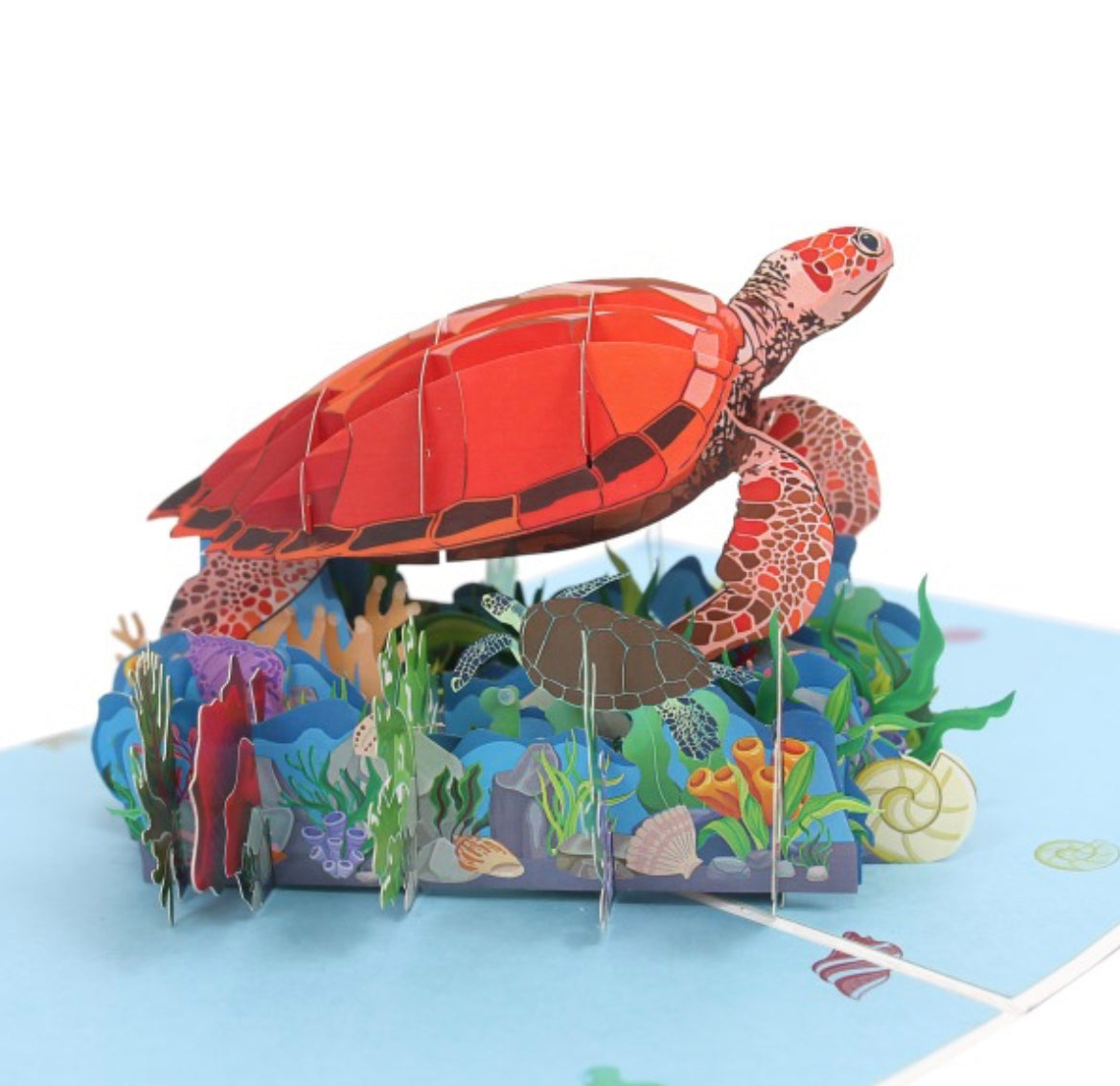 Colorful Sea Turtles 3D Pop up Card