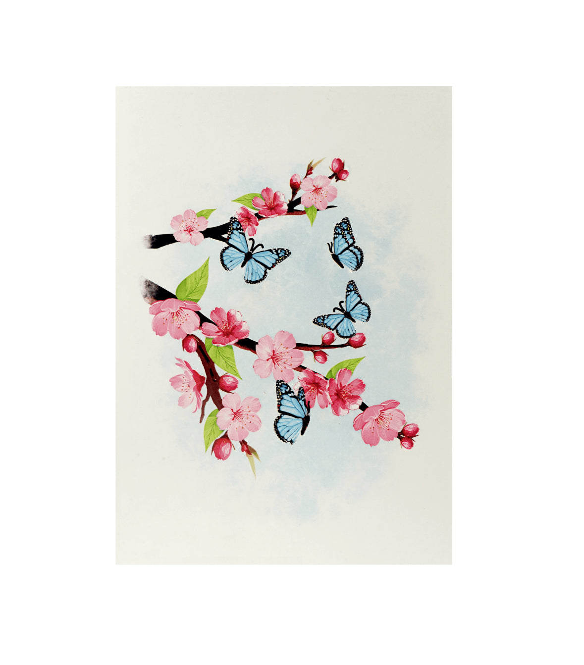 Spring Cherry Blossoms with Butterflies