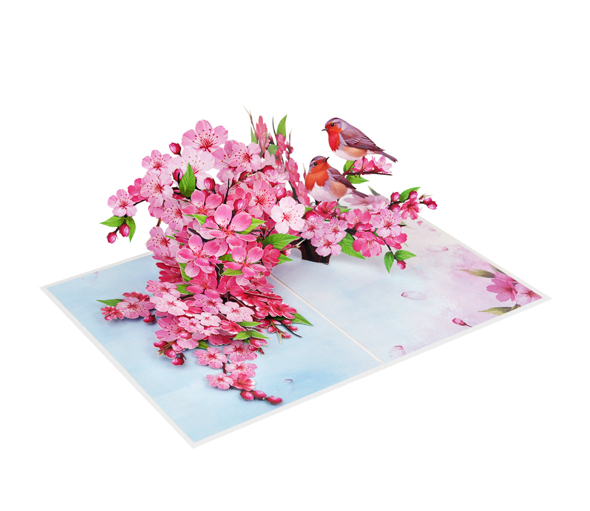 Cherry Blossoms with Robin Pop up Card