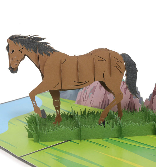 Wild Horse in the Mountains