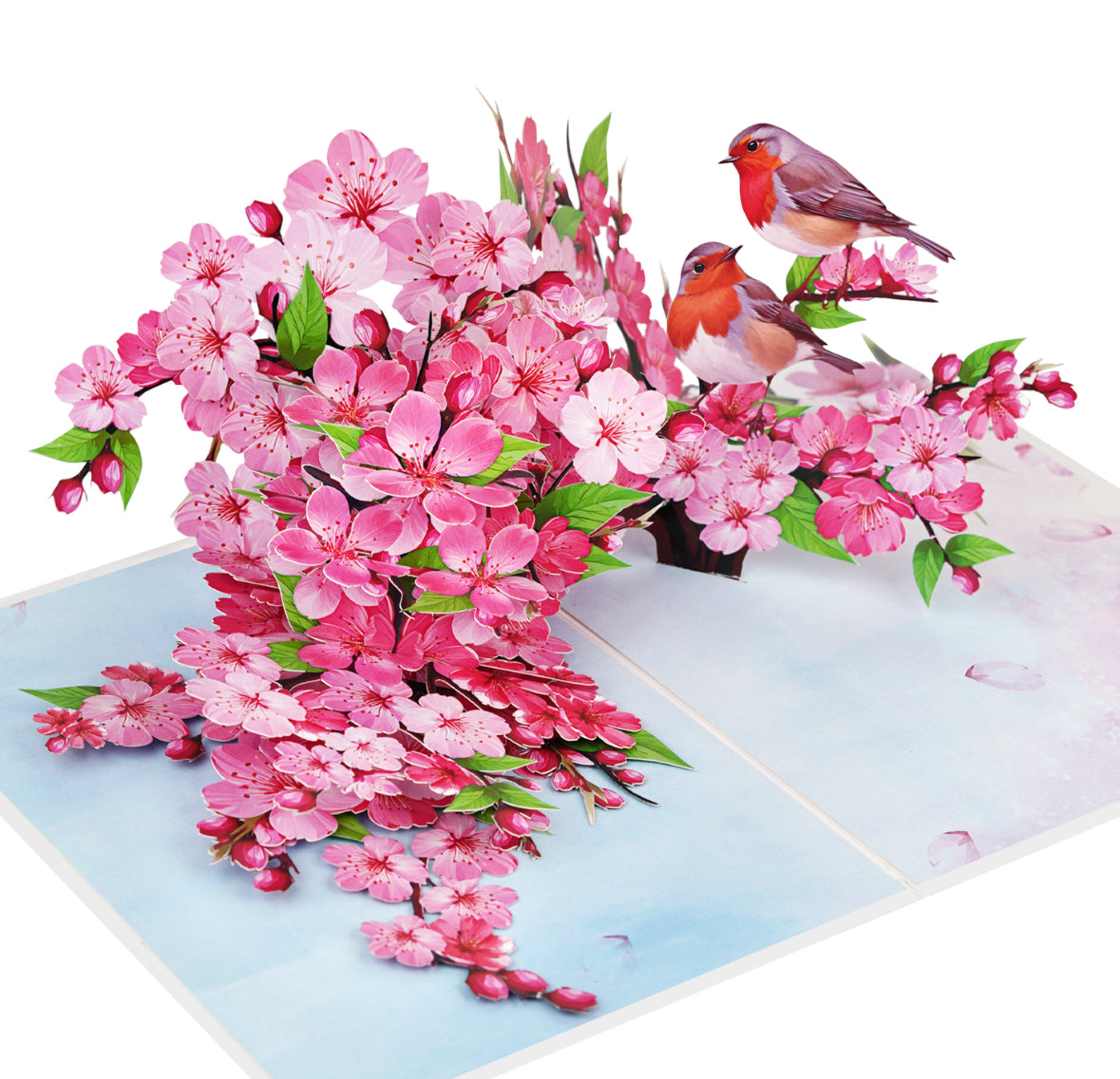 Cherry Blossoms with Robins Pop Up Card