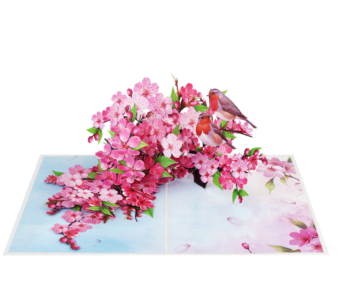 Cherry Blossoms with Robin Pop up Card
