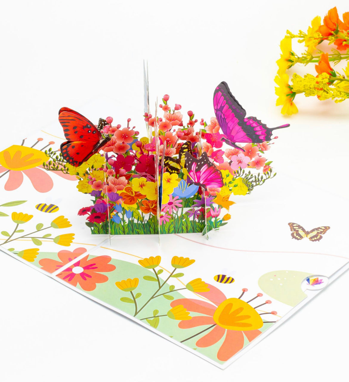 Spring Butterflies and WildFlowers