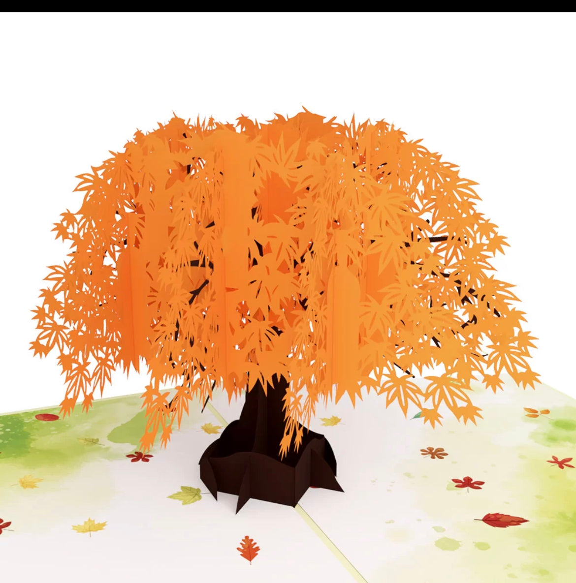 Autumn Orange Maple Tree