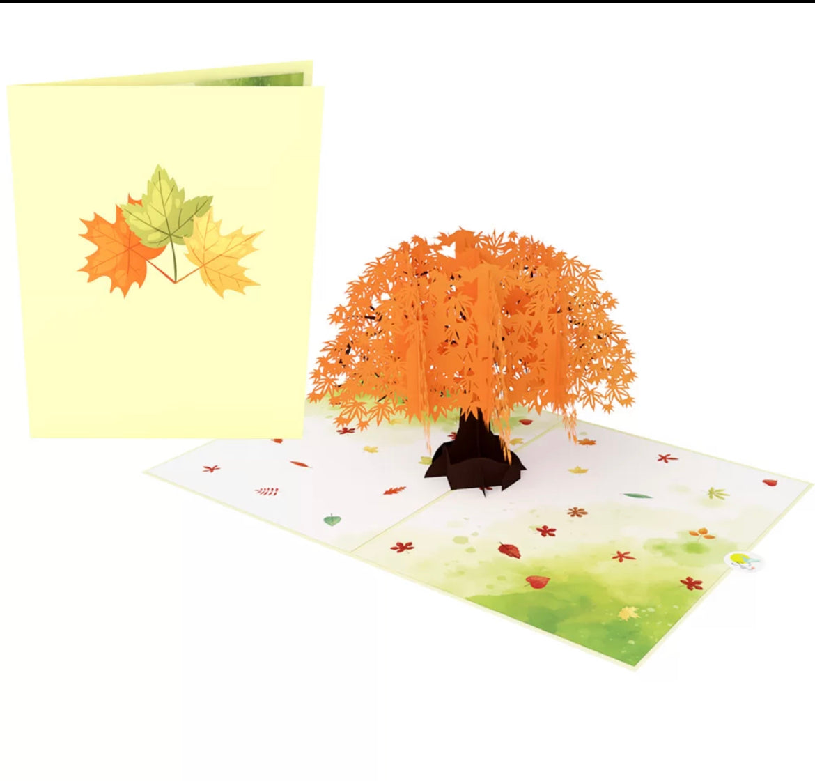 Autumn Orange Maple Tree