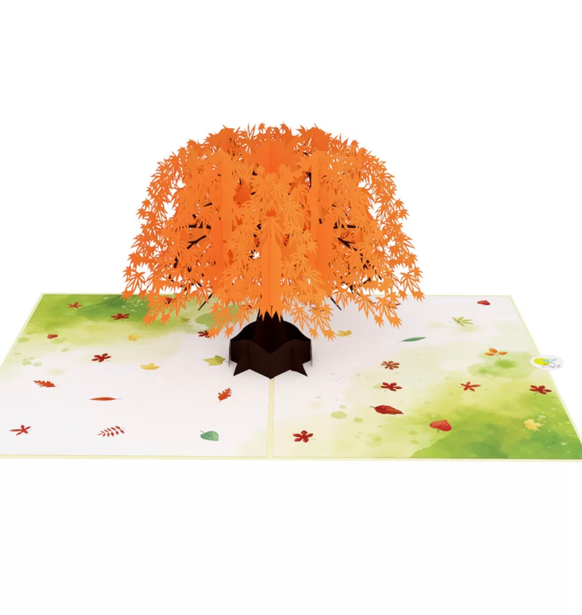 Autumn Orange Maple Tree